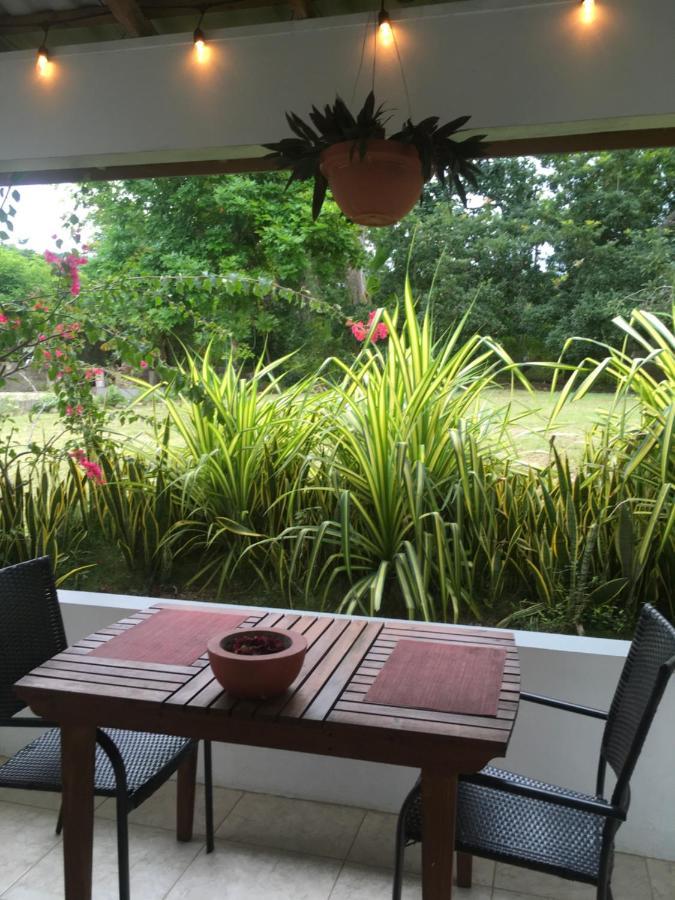 רנאוויי ביי Ancella'S Garden Apartment-Beach-5Min Drive, 1 Hr Montego Bay, 25 Mins Ocho Rios, Continental Breakfast מראה חיצוני תמונה