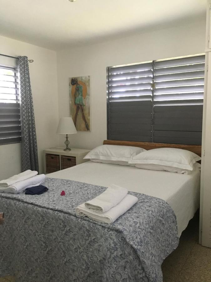 רנאוויי ביי Ancella'S Garden Apartment-Beach-5Min Drive, 1 Hr Montego Bay, 25 Mins Ocho Rios, Continental Breakfast מראה חיצוני תמונה