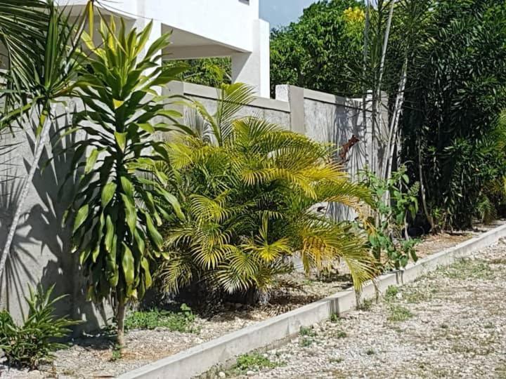 רנאוויי ביי Ancella'S Garden Apartment-Beach-5Min Drive, 1 Hr Montego Bay, 25 Mins Ocho Rios, Continental Breakfast מראה חיצוני תמונה