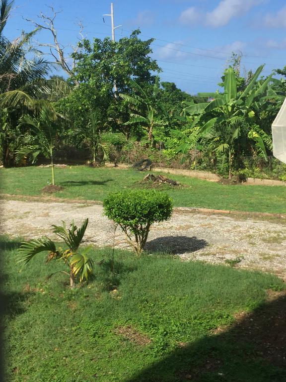 רנאוויי ביי Ancella'S Garden Apartment-Beach-5Min Drive, 1 Hr Montego Bay, 25 Mins Ocho Rios, Continental Breakfast מראה חיצוני תמונה